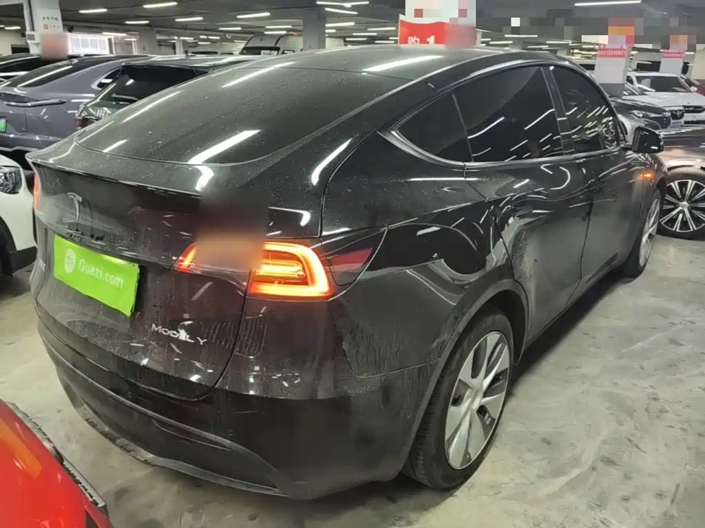Tesla Model Y — миниатюра 7