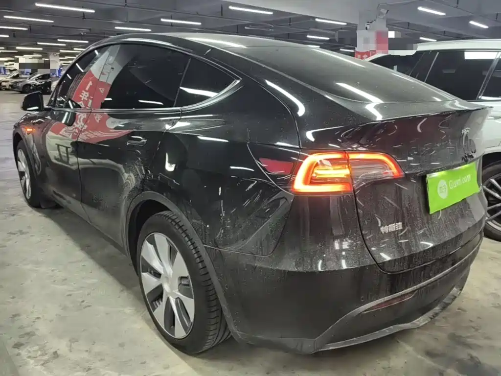 Tesla Model Y — миниатюра 5