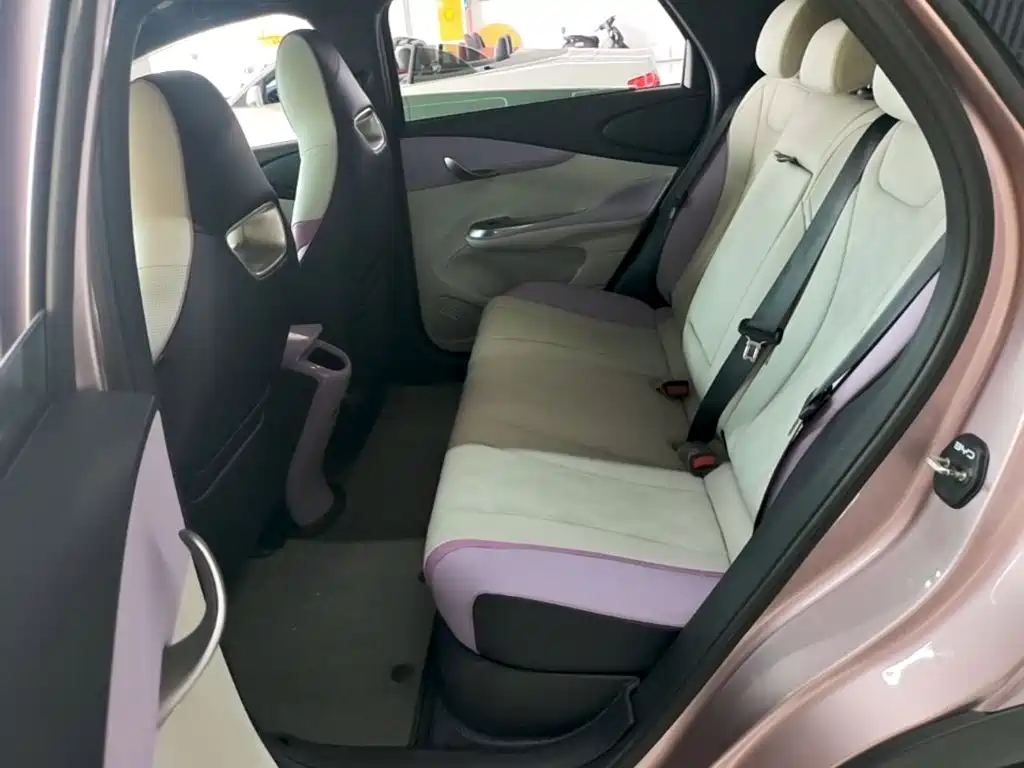 BYD Dolphin — миниатюра 17
