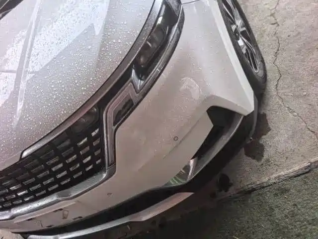 Kia Carnival — миниатюра 3