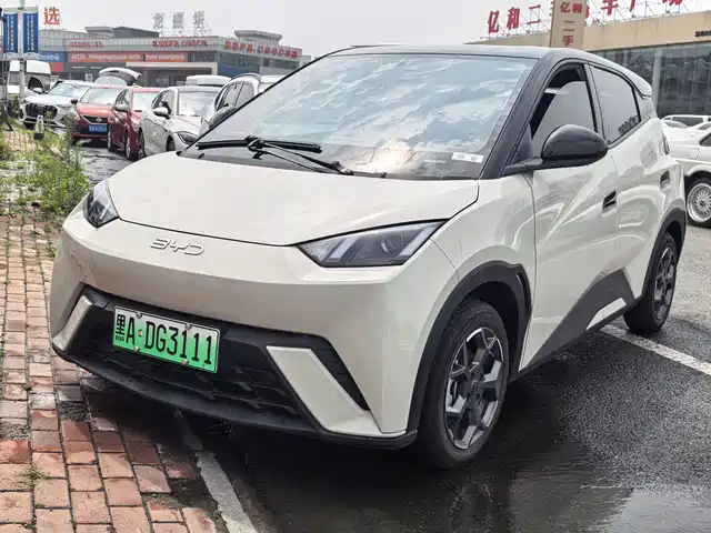 2024 BYD Seagull