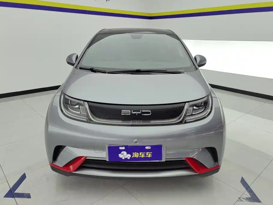 BYD Dolphin — миниатюра 2