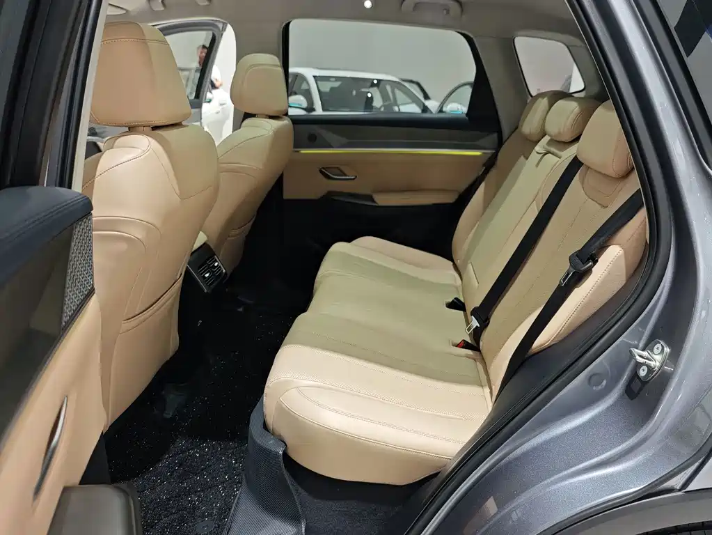 BYD Pro New Energy — миниатюра 11