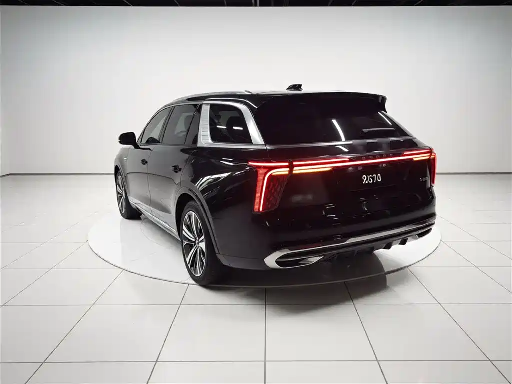 Hongqi E-HS9 2021 510km мест