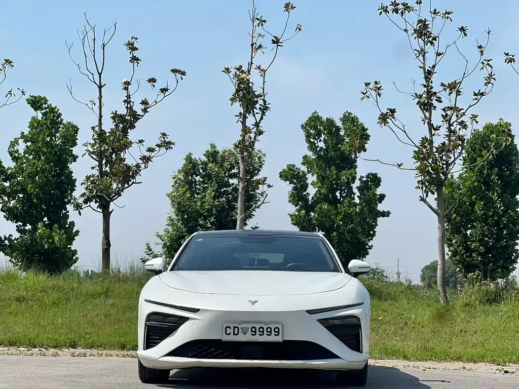 Neta S 2024 1160