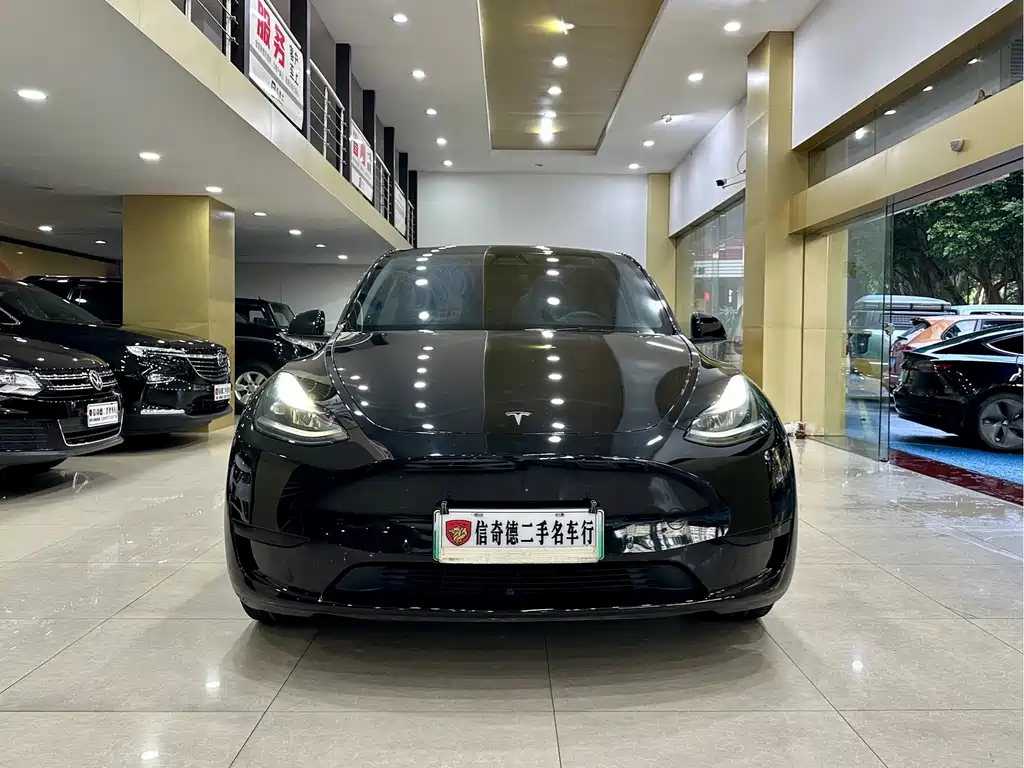 Tesla Model Y — миниатюра 4
