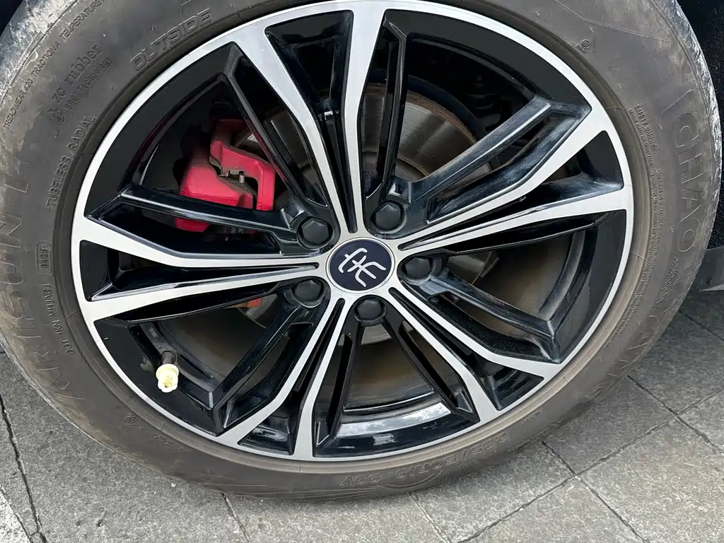 BYD PLUS — миниатюра 4