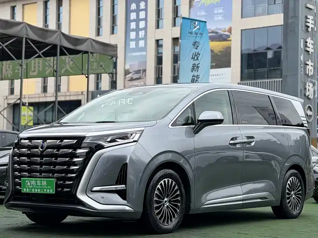 2023 Denza D9