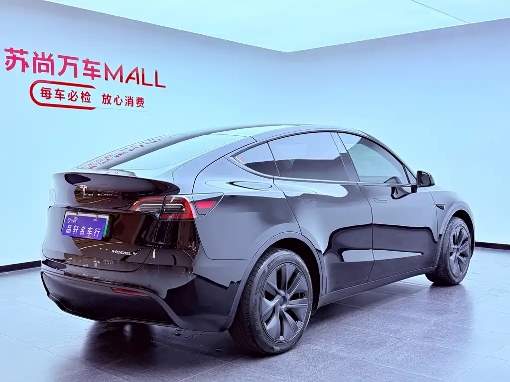 Tesla Model Y — миниатюра 4