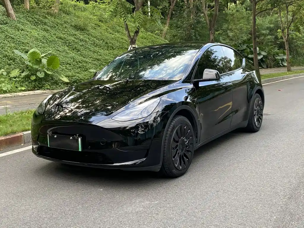 Tesla Model Y — фотографии объявления, Фото 2