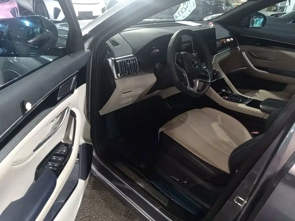BYD PLUS New Energy — миниатюра 16