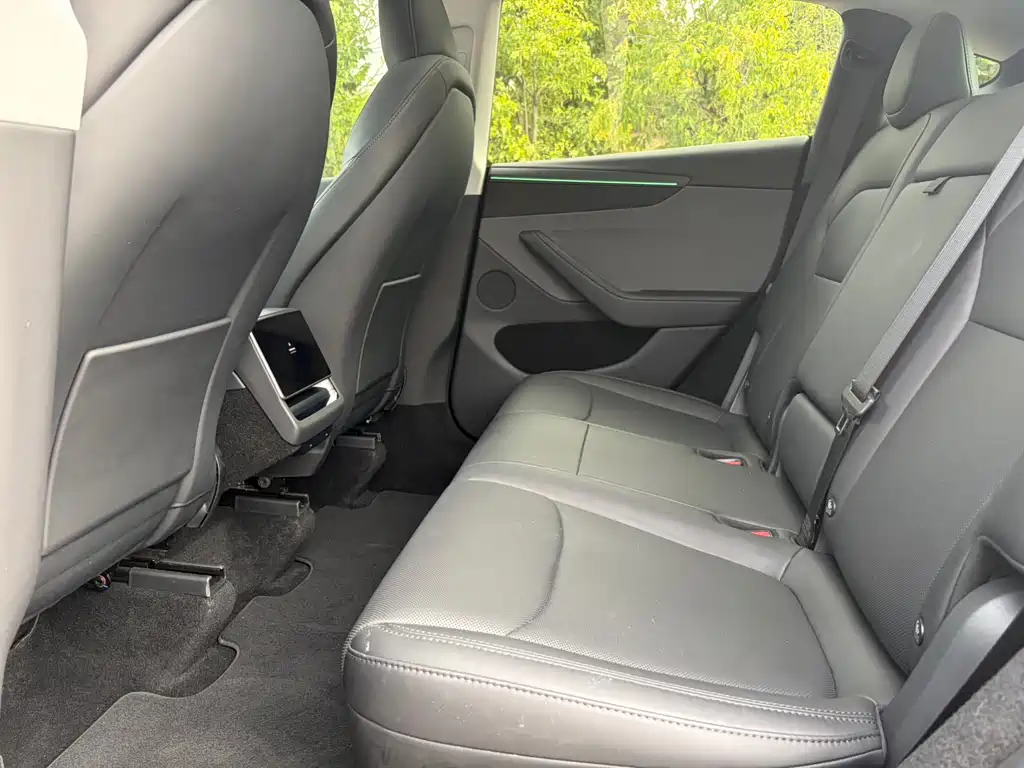 Tesla Model Y — миниатюра 11