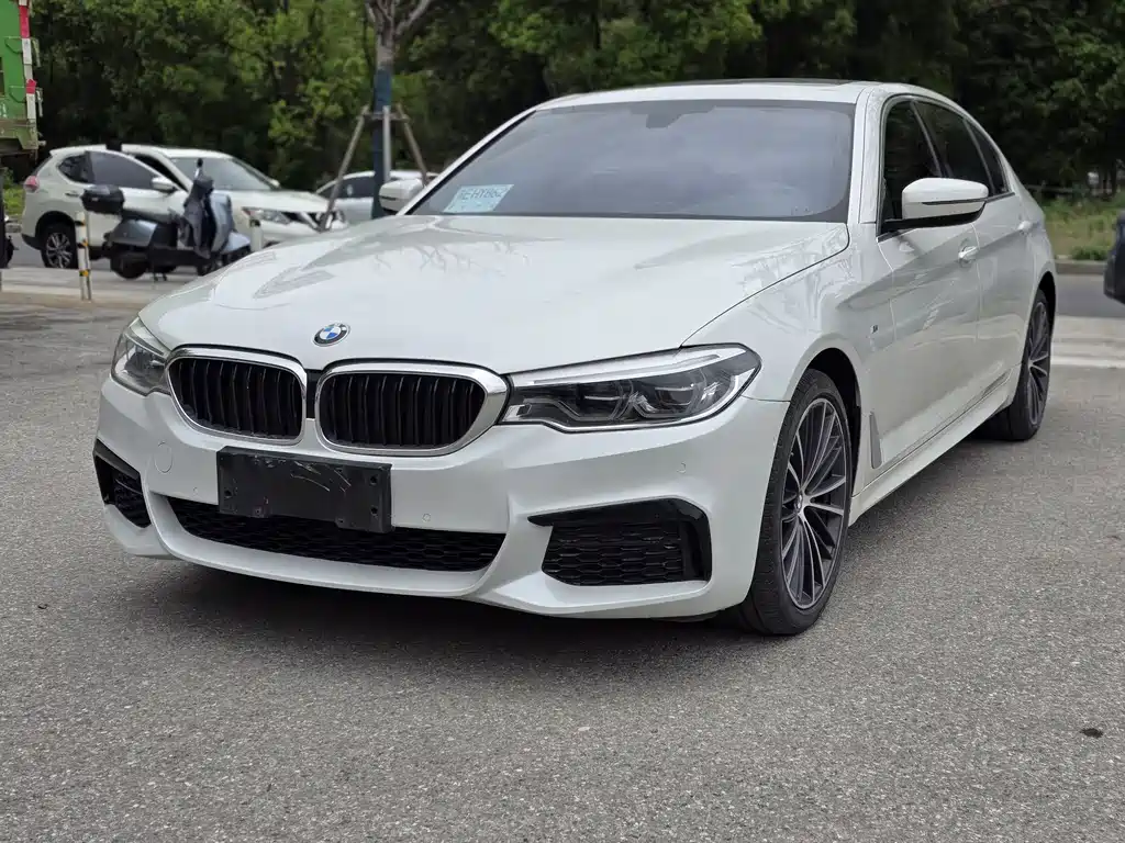 BMW 5 Series 2019