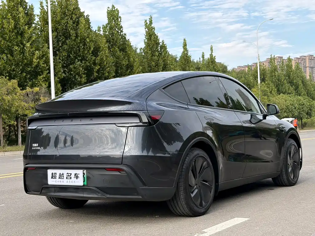 Tesla Model Y — миниатюра 17