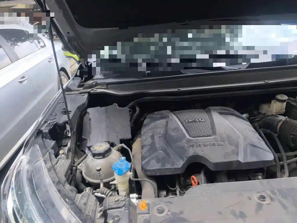 Haval Chitu — миниатюра 20