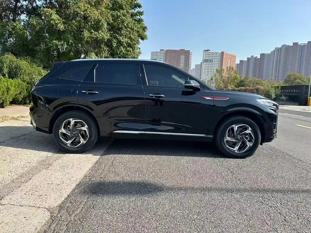 Hongqi Hongqi HS3 — миниатюра 25