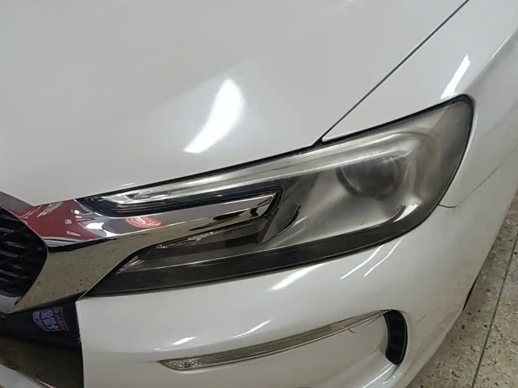 DS DS 4S — миниатюра 24
