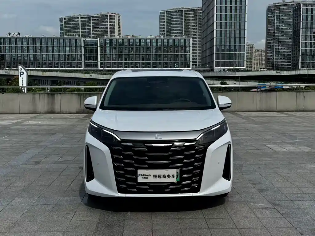BYD Xia — миниатюра 2