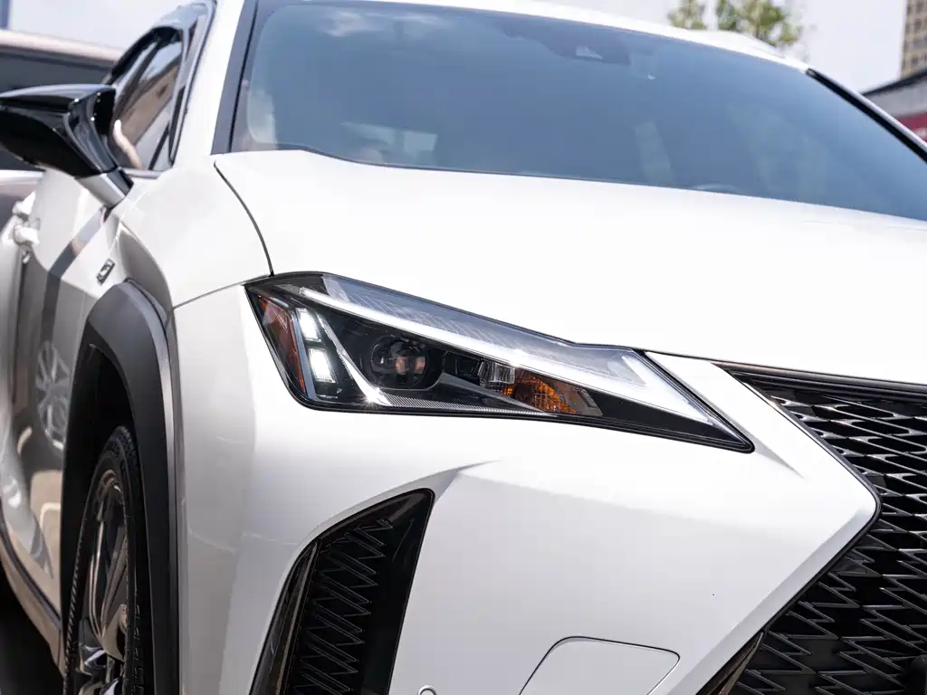 Lexus UX 2020 260h F SPORT