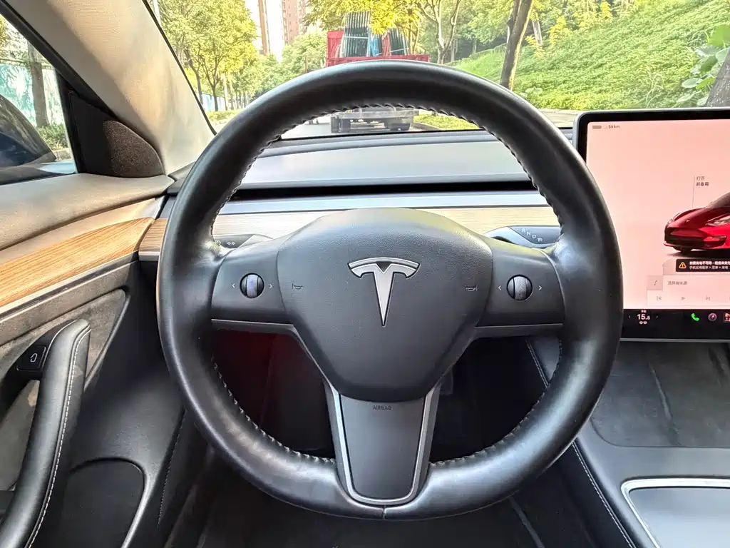 Tesla Model 3 — миниатюра 11