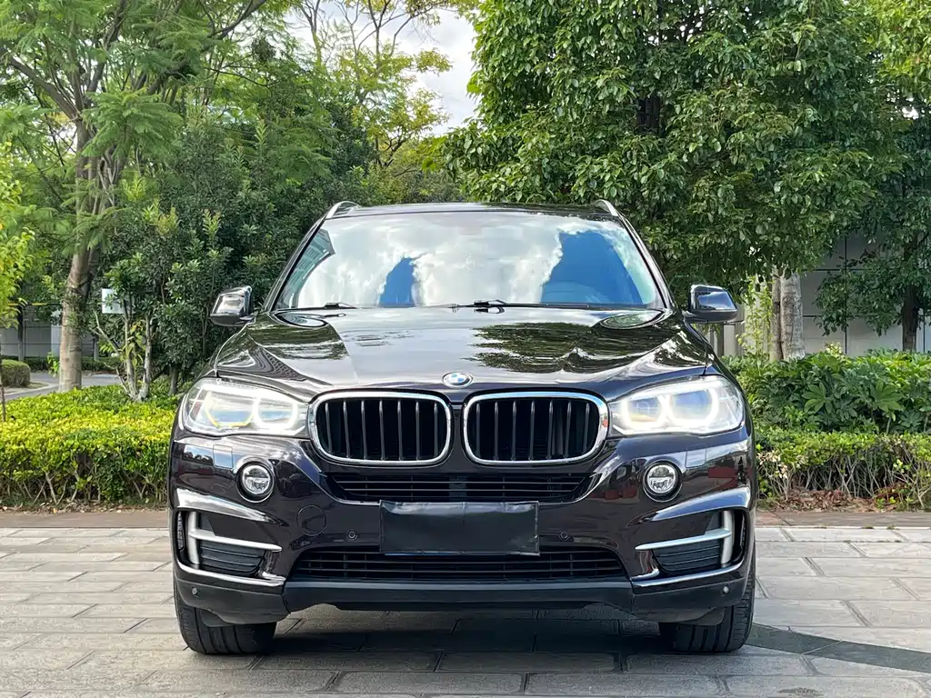 BMW X5 (Import) — миниатюра 2