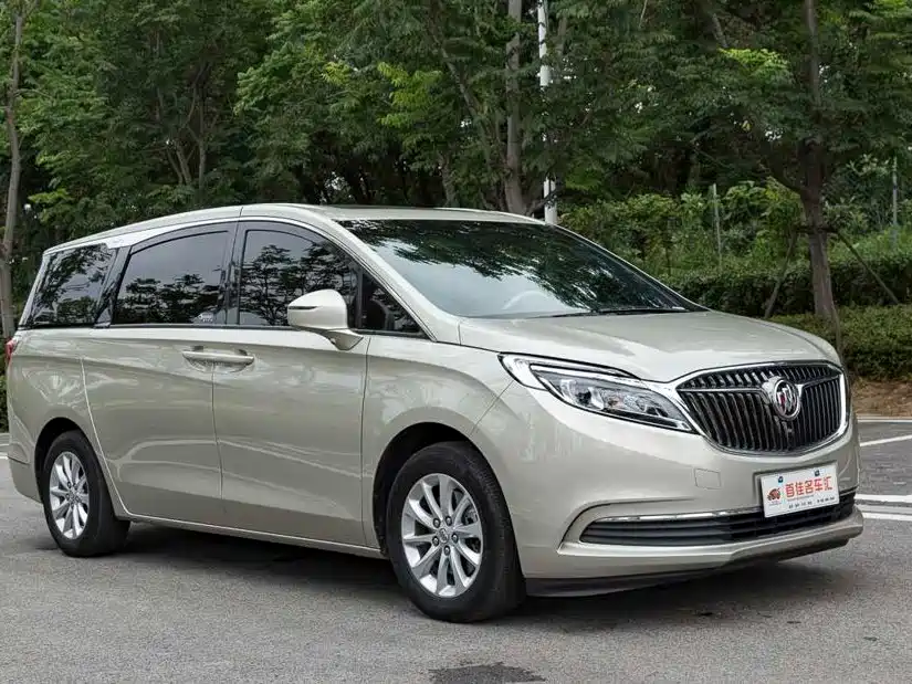 Buick GL8 — миниатюра 3