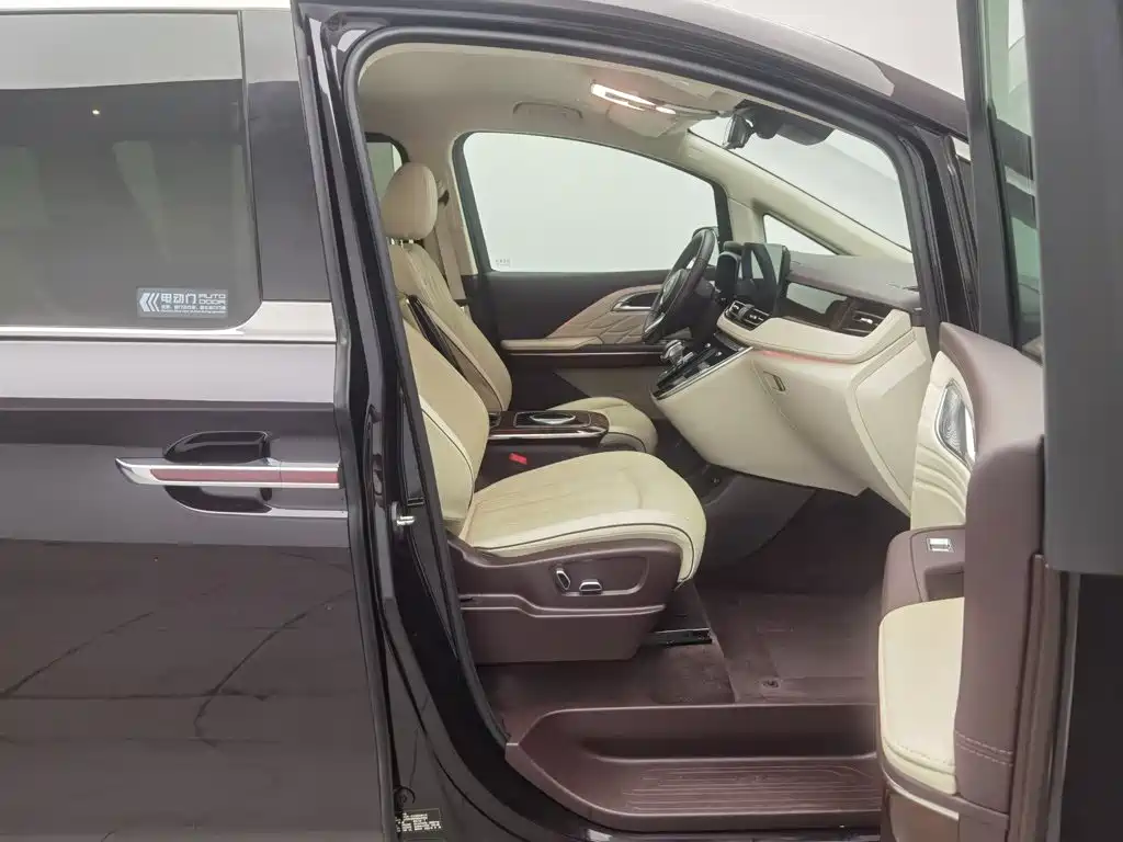 Hongqi Hongqi HQ9 — миниатюра 23