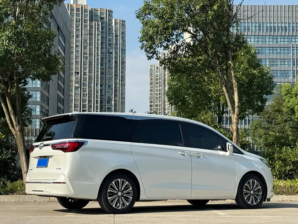 Buick GL8 — миниатюра 5