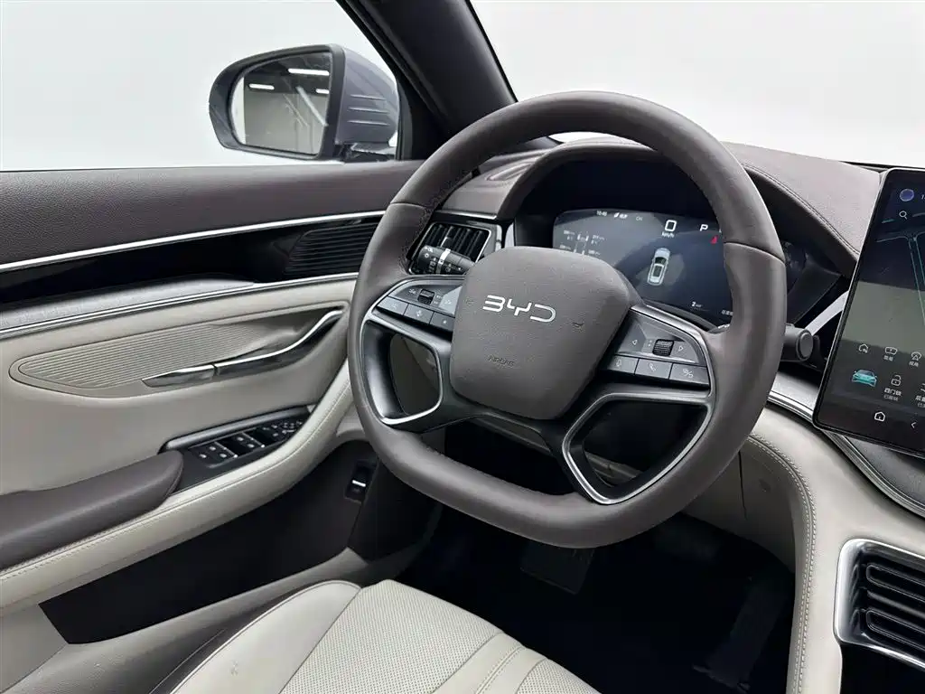 BYD SONGJIANG NEW ENERGY