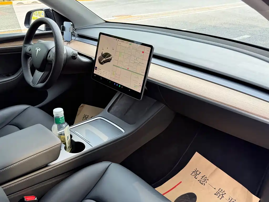 Tesla Model Y — миниатюра 15