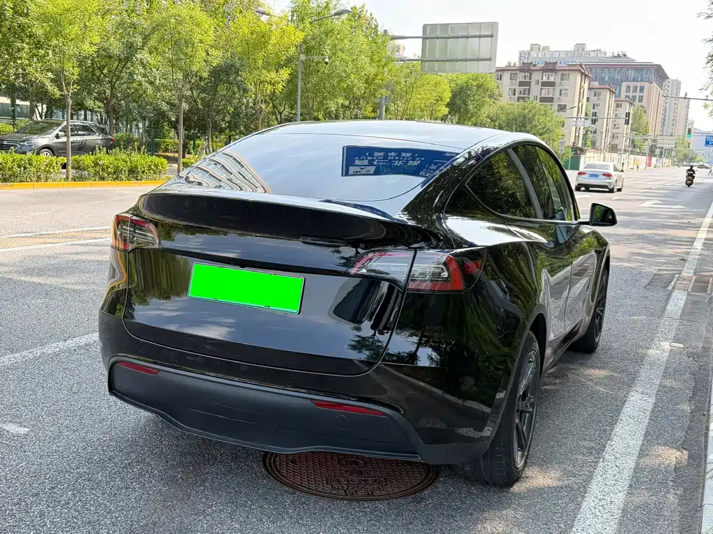 Tesla Model Y — миниатюра 23