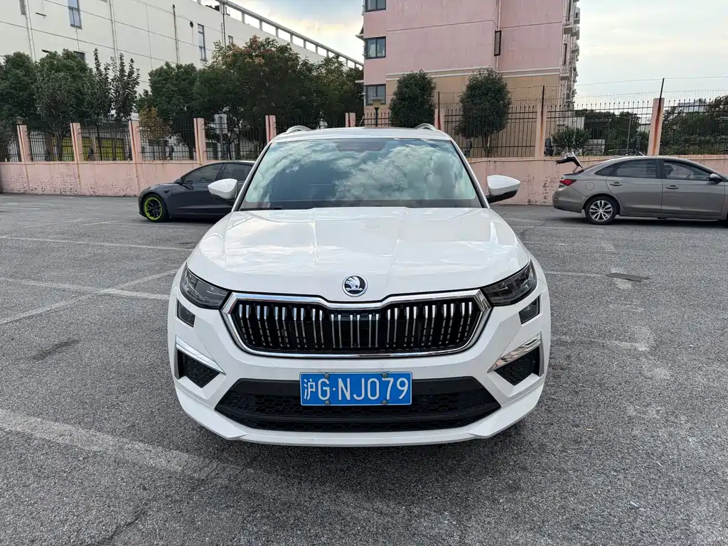 Skoda Kodiaq — миниатюра 2