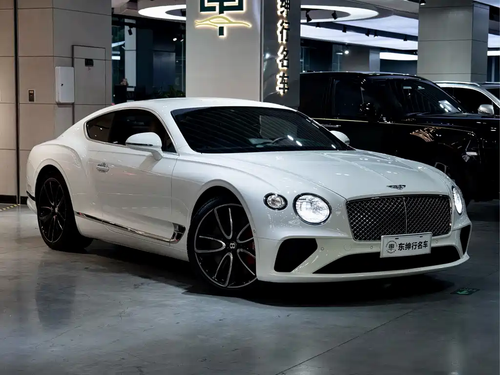 Bentley Continental 6.0T GT W12, фото 3