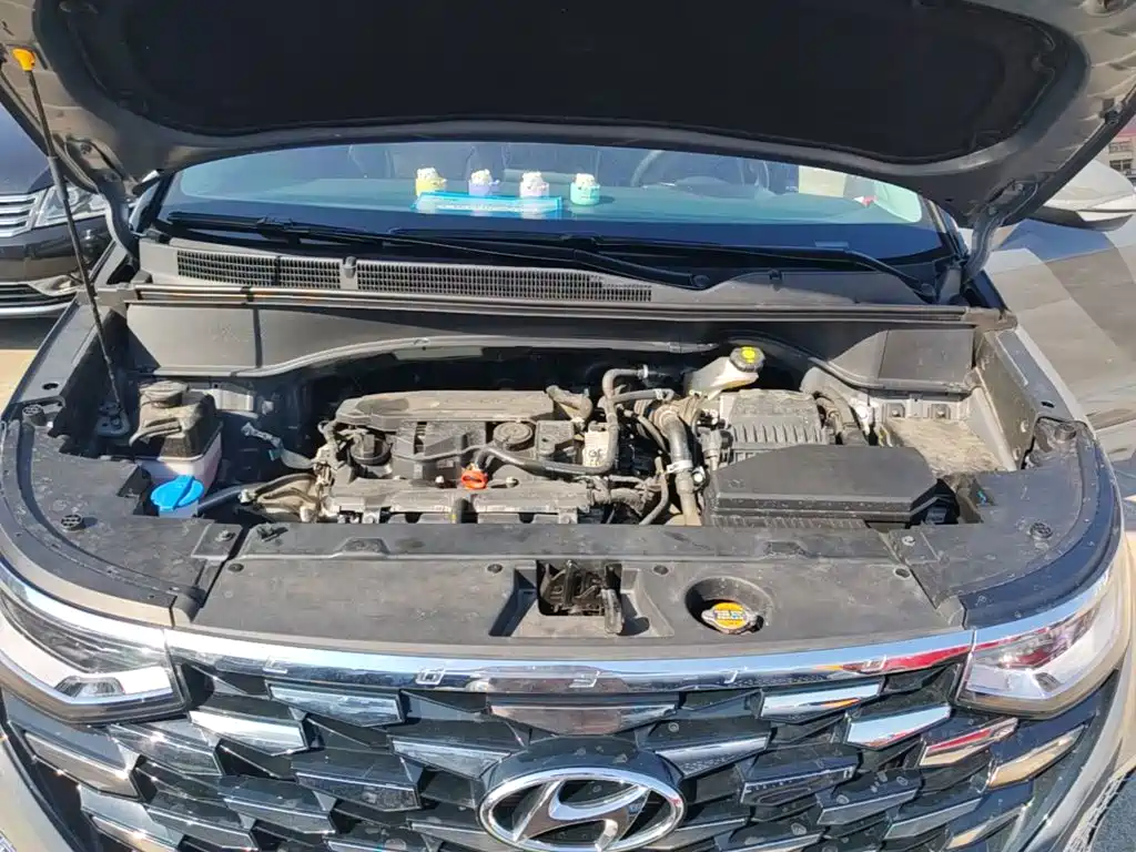 Hyundai Custo — миниатюра 20