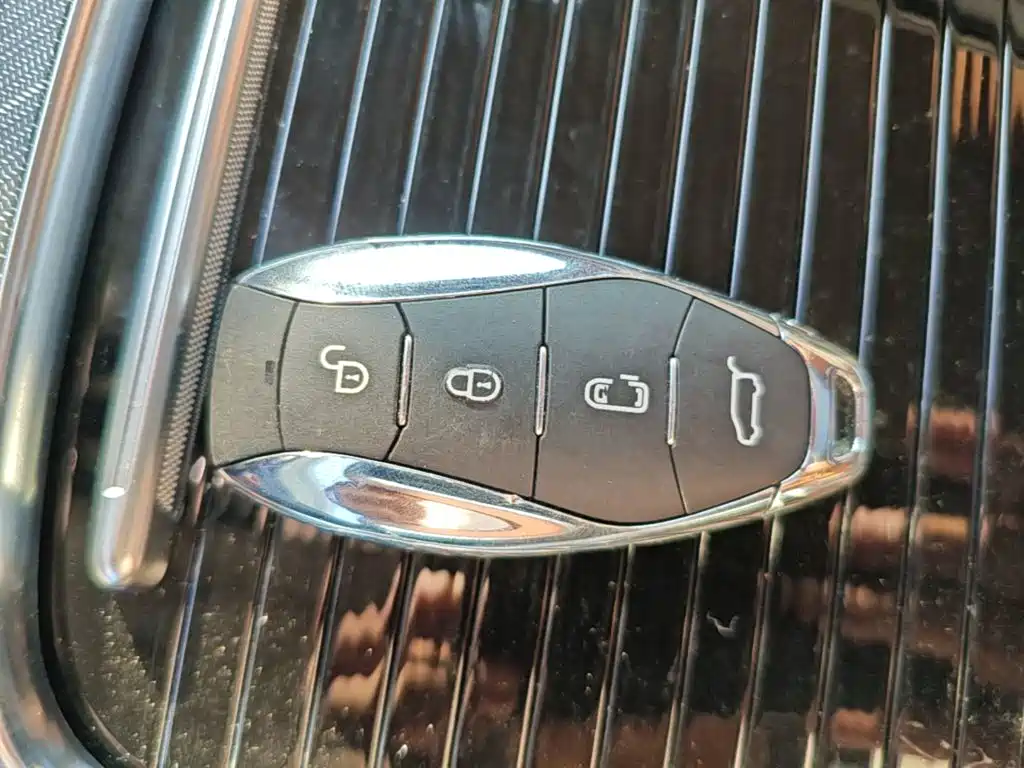 Hongqi Hongqi HQ9 PHEV — миниатюра 9