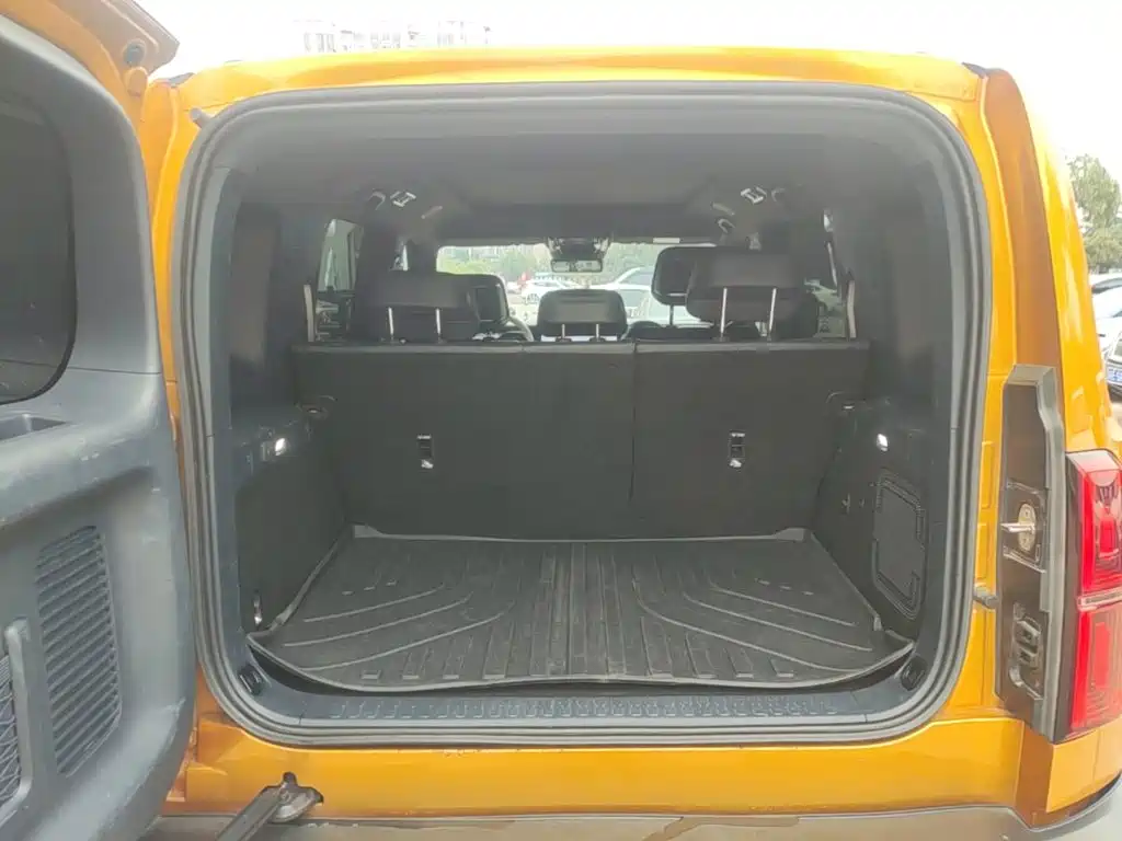 Fang Cheng Bao Leopard 5 — миниатюра 19