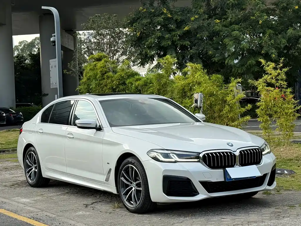 BMW 5 Series — миниатюра 5