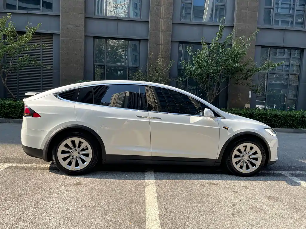 Tesla Model X — миниатюра 4