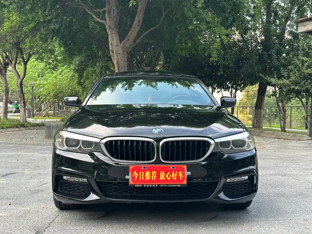 BMW 5 Series — миниатюра 2