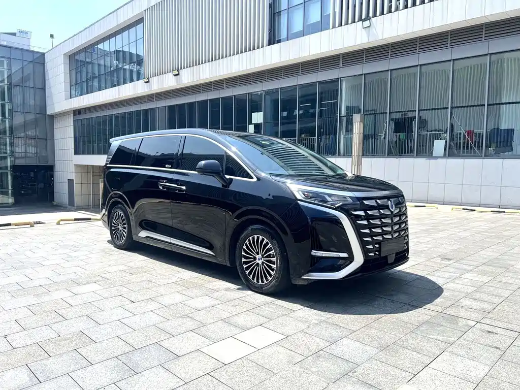 Denza Denza D9 — миниатюра 3