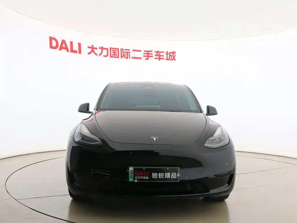 Tesla Model Y — миниатюра 2
