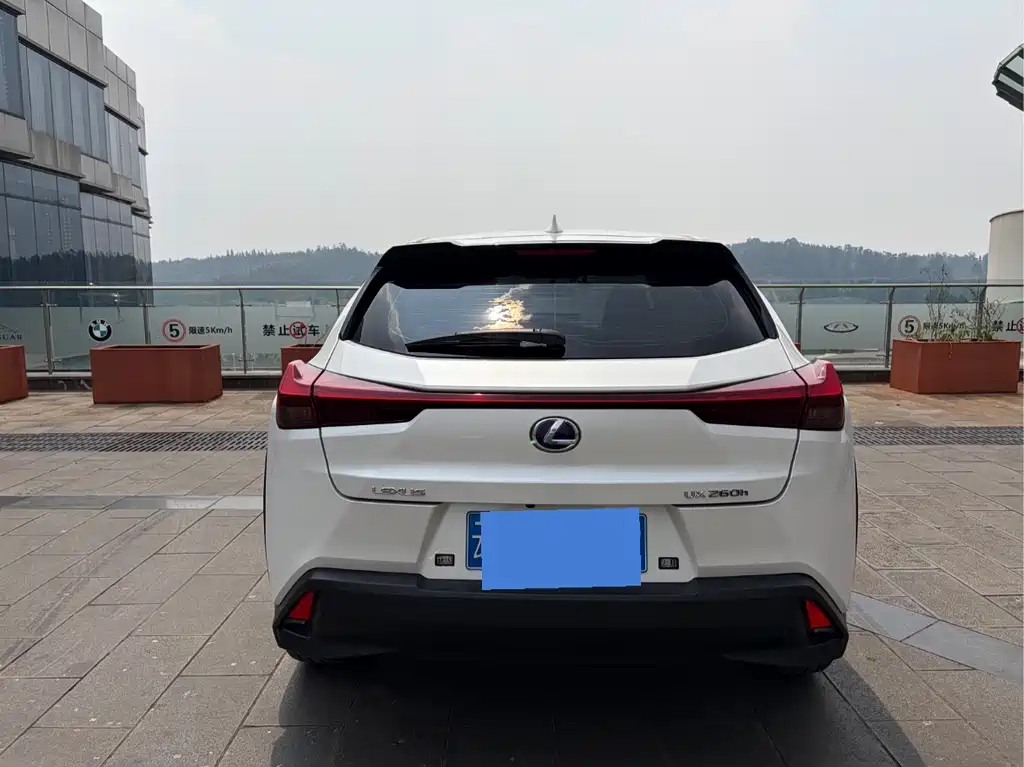 Lexus UX 260h Explore · Cool Edition, фото 7