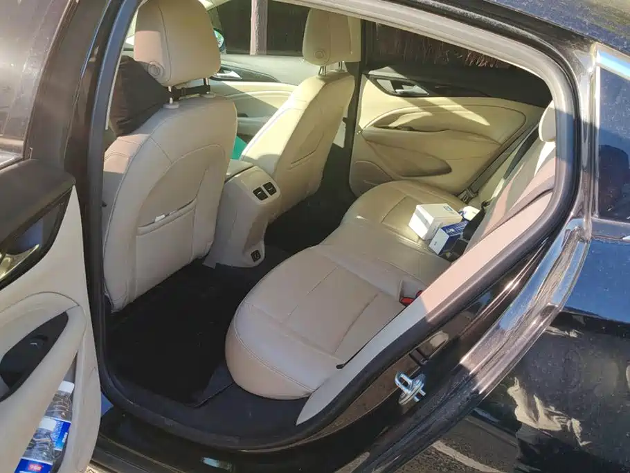 Buick Regal — миниатюра 11