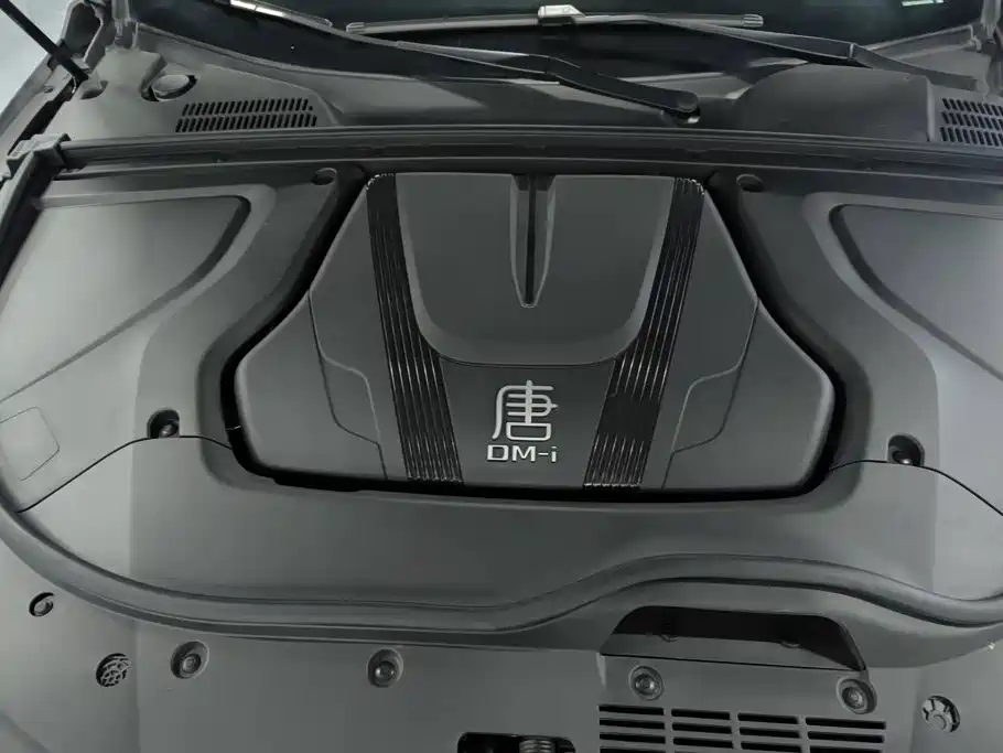 BYD Tang New Energy — миниатюра 10