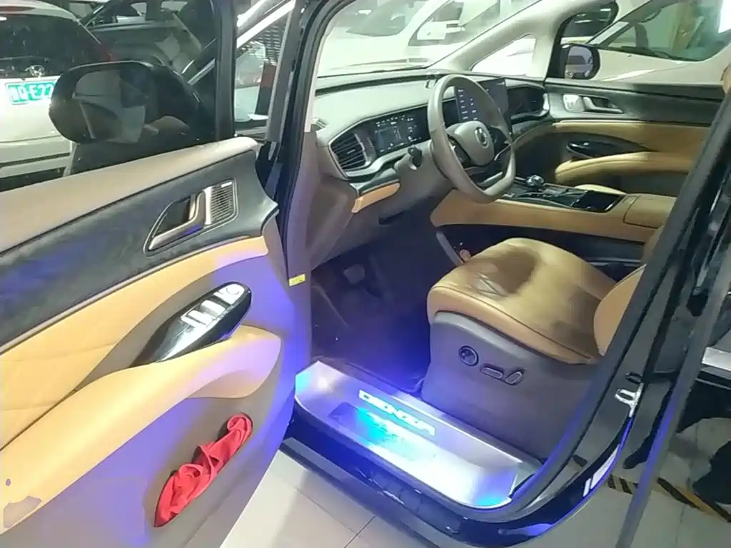 Denza Denza D9 — миниатюра 16