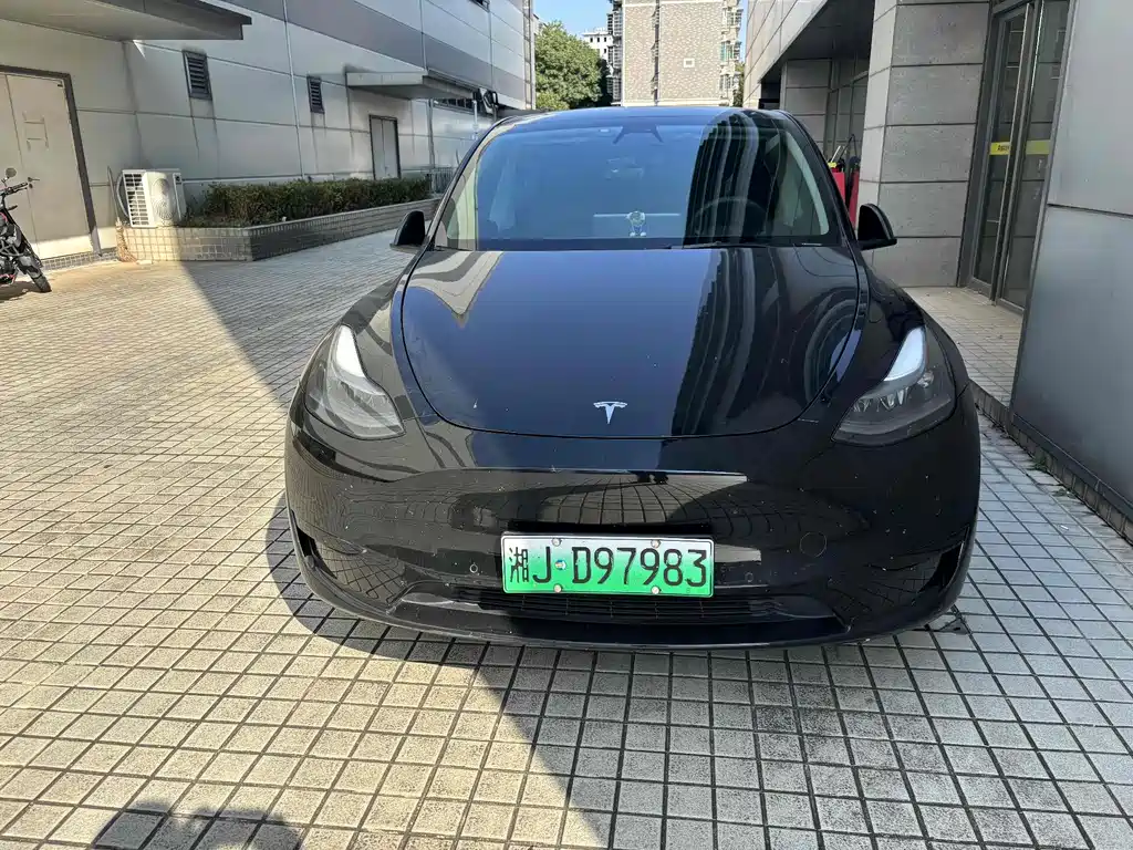 Tesla Model Y — миниатюра 2