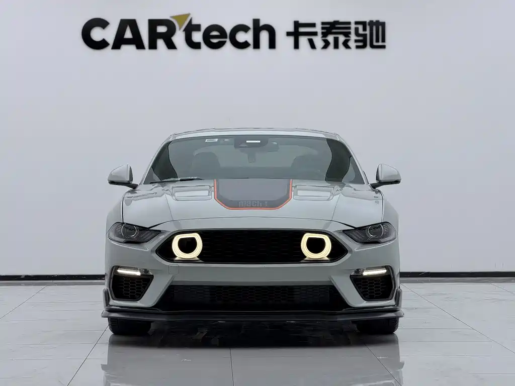 Ford Mustang — миниатюра 2