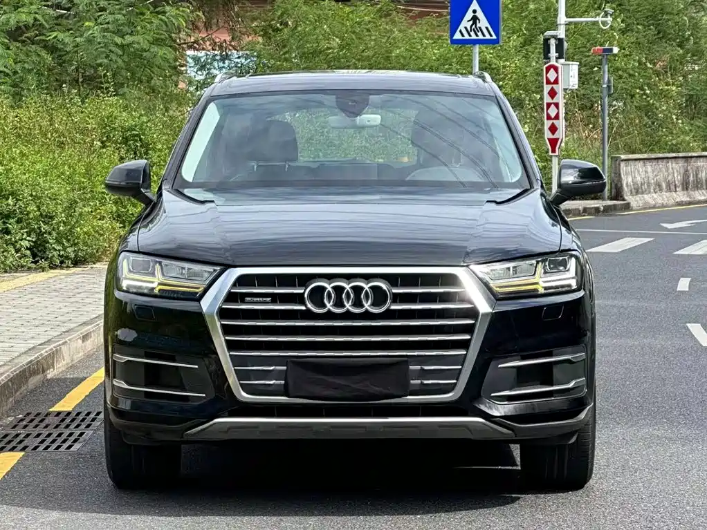 Audi Q7 — миниатюра 2