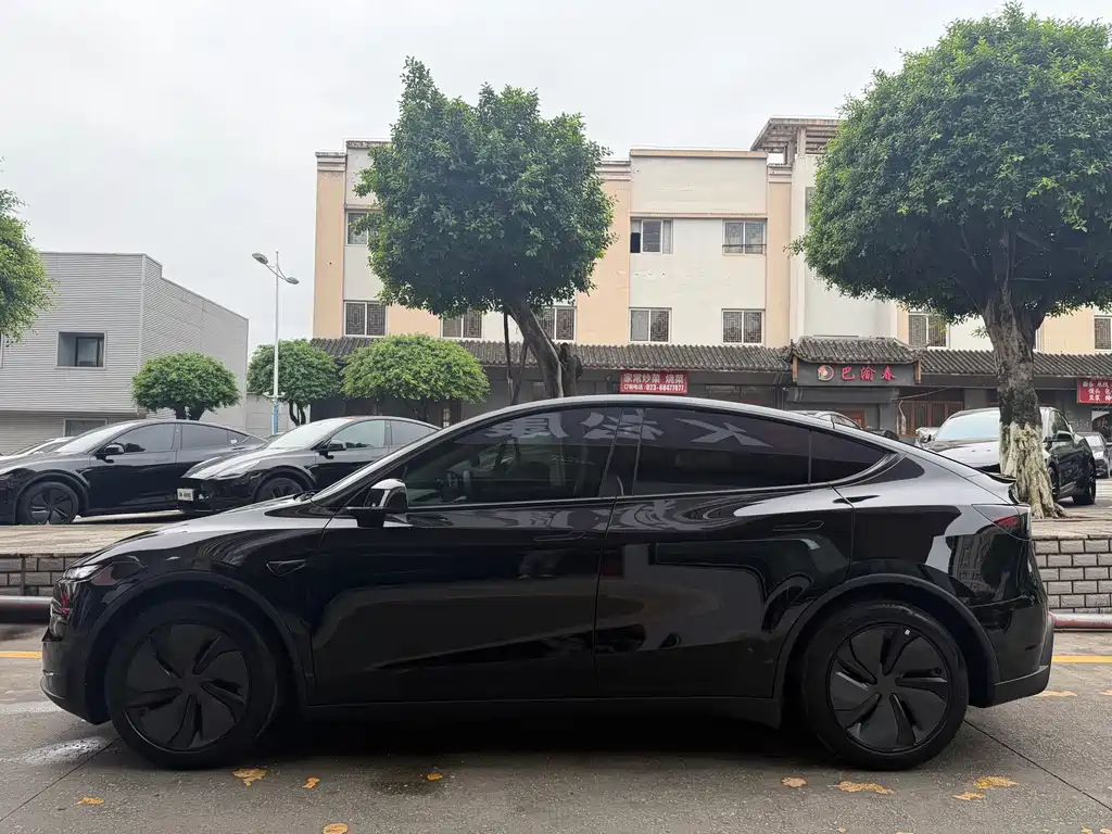 Tesla Model Y — миниатюра 4