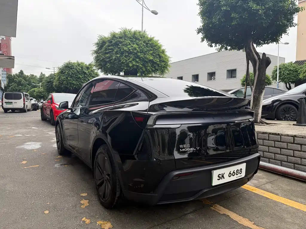 Tesla Model Y — миниатюра 6